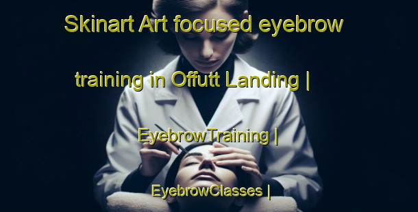 Skinart Art-focused eyebrow training in Offutt Landing | EyebrowTraining | EyebrowClasses | SkinartTraining-United States